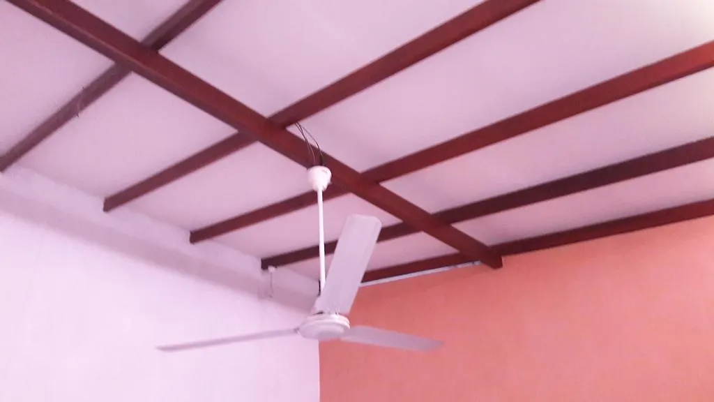 Lilly Palace Villa Guest House Negombo