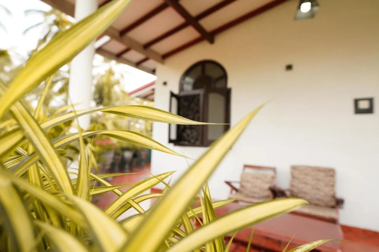 Lilly Palace Villa Guest House Negombo