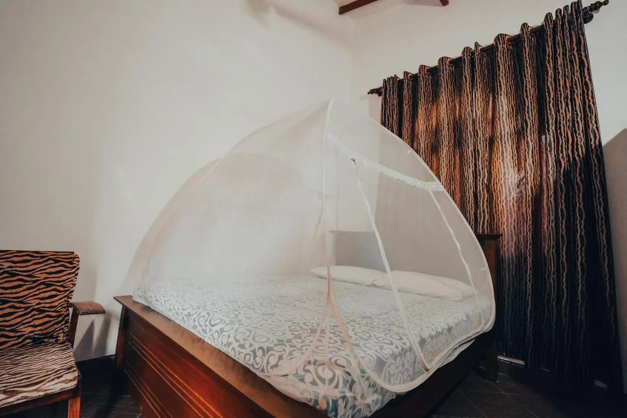 Lilly Palace Villa Guest House Negombo