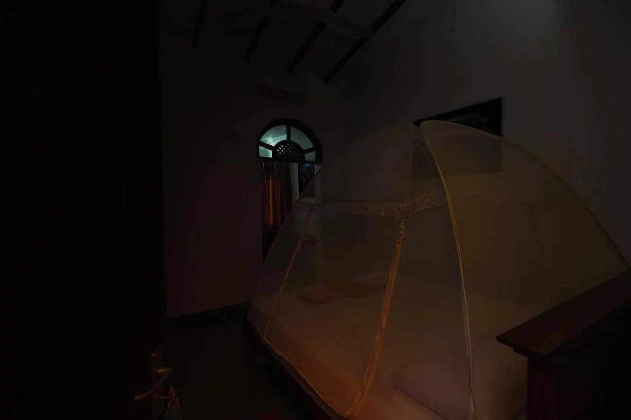 Lilly Palace Villa Guest House Negombo Sri Lanka