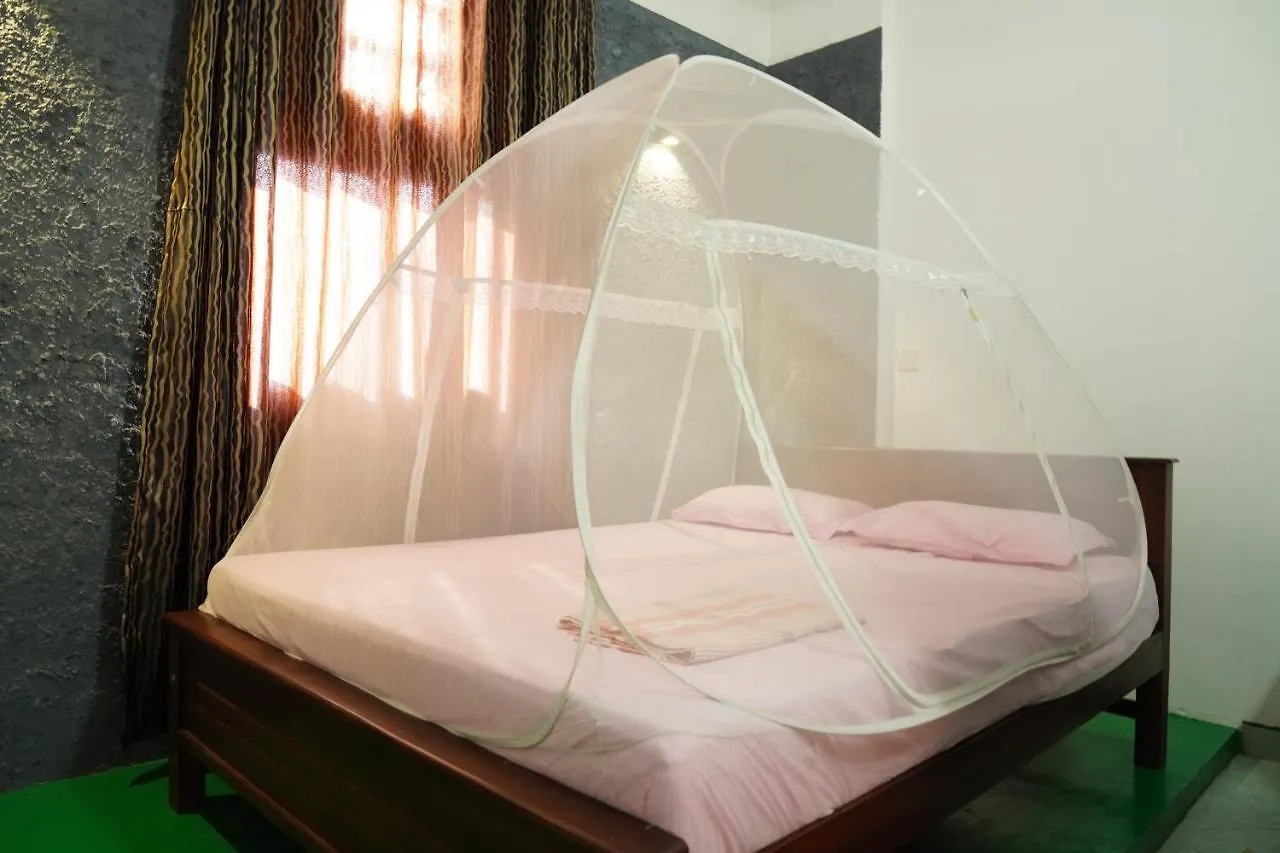Lilly Palace Villa Guest House contacts
